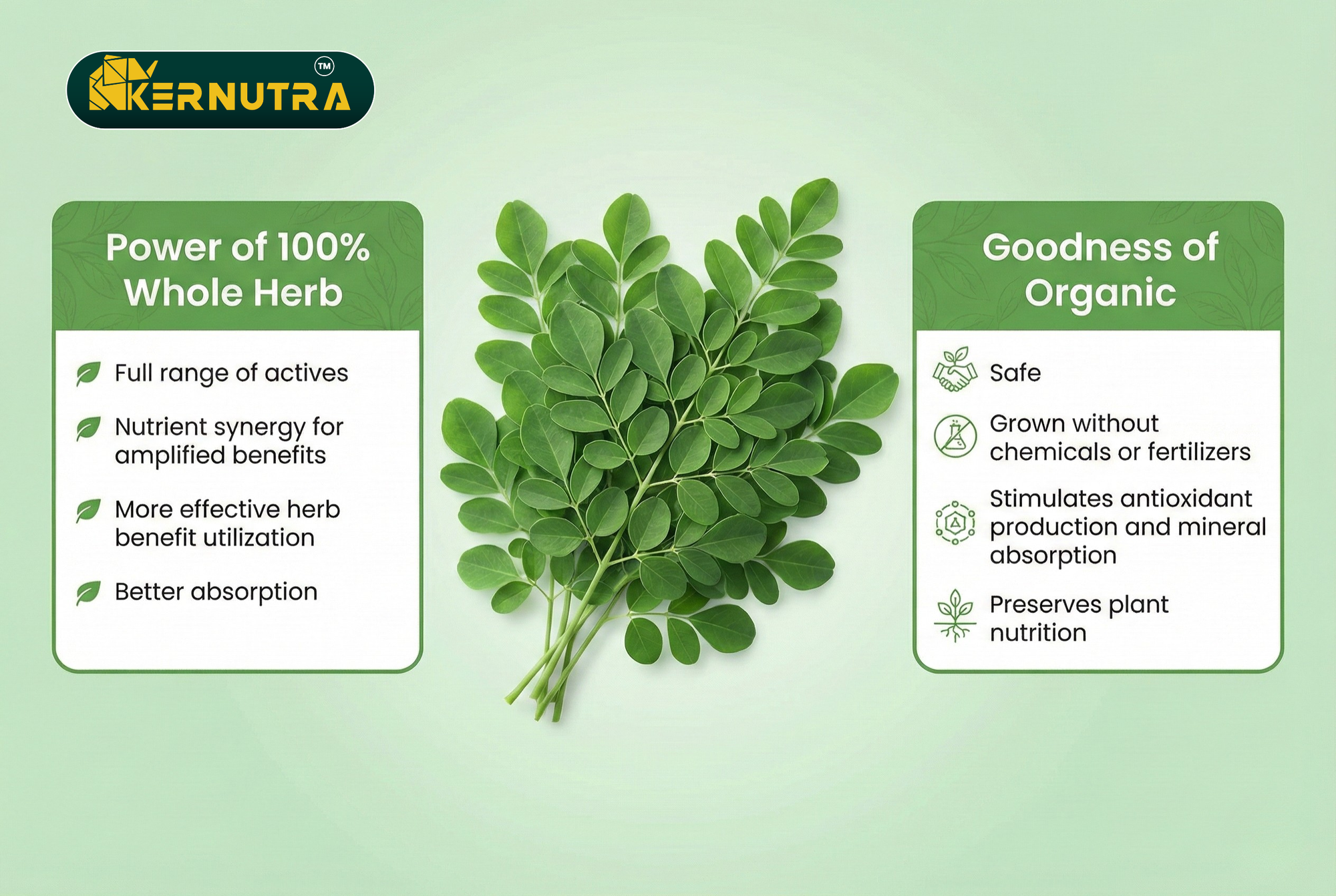 Moringa Powder - 100% Pure and Natural