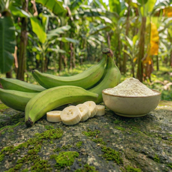 Nendran Banana Powder