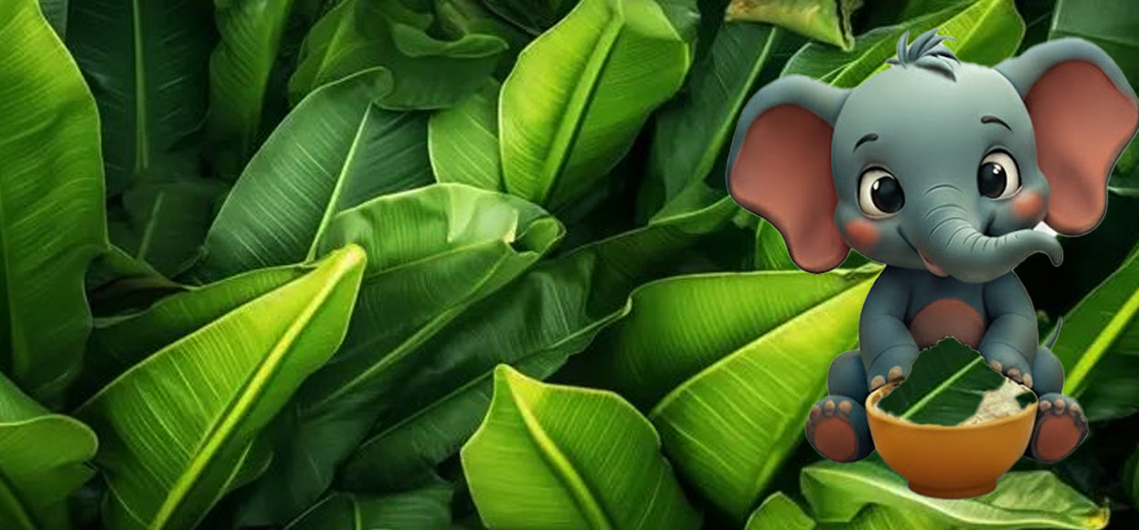 Trusted Quality, Certified Pure